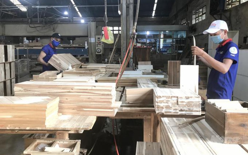 Gỗ Thuận An (GTA) đặt kế hoạch kinh doanh khiêm tốn, dự kiến chia cổ tức tỷ lệ 11% 